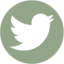 logo twitter vert