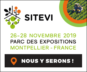 sitevi2019-300x250.png