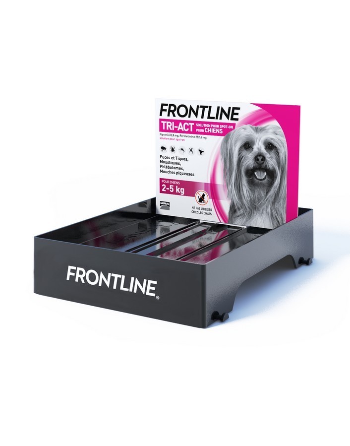 07-Lin-frontline.jpg