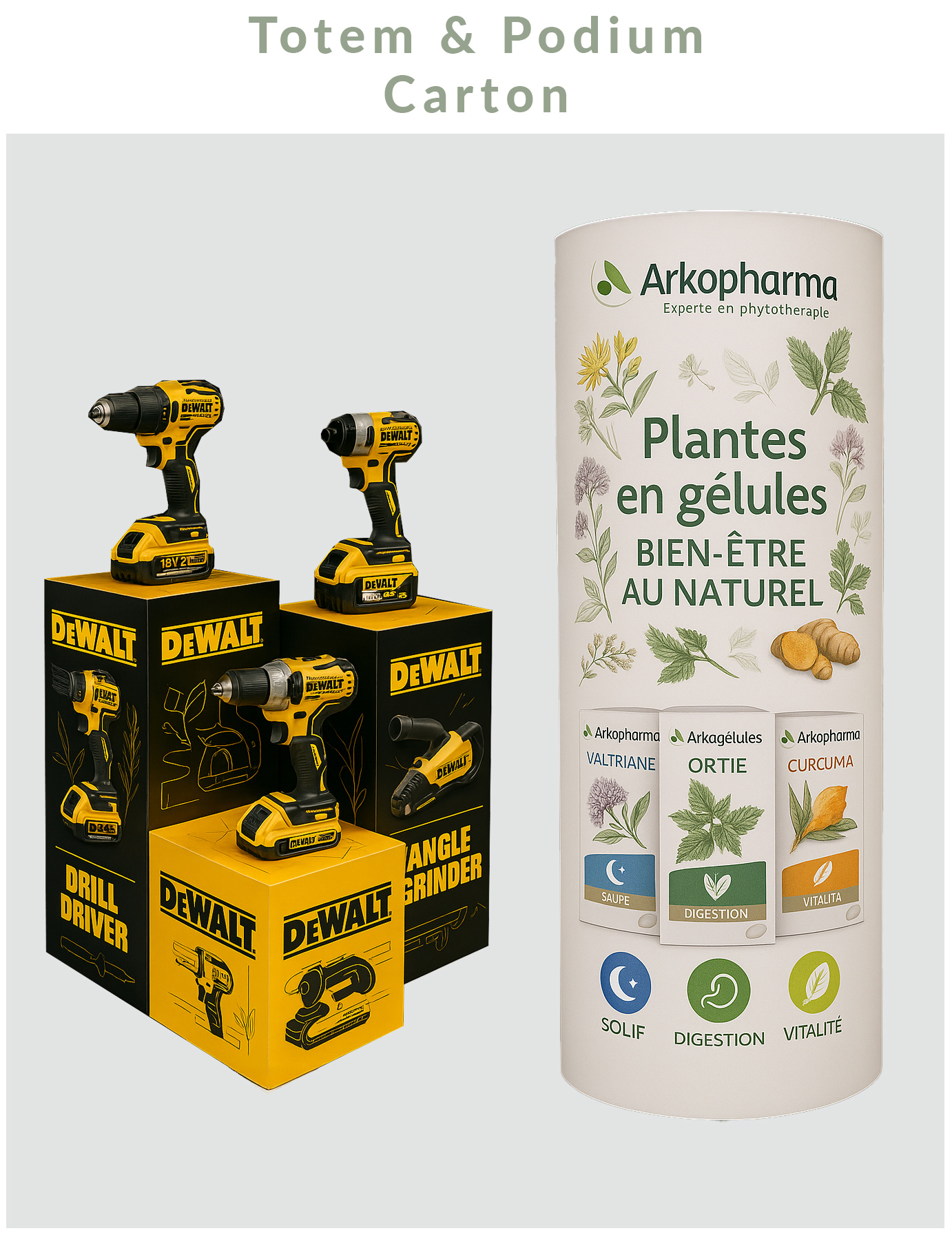01 - lien plv carton.jpg